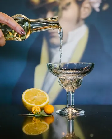 Chicago cocktail glasses 6-pack - 21 cl - La Rochère