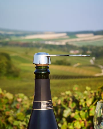 Pince á bouchon cork opener champagne - Silver - L'Atelier du Vin