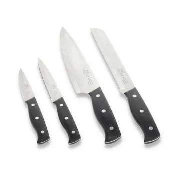 Lion Sabatier Austral knife set 4 pieces - Steel-black - Lion Sabatier