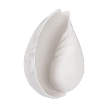 Conch decorative shell - Large - Mette Ditmer