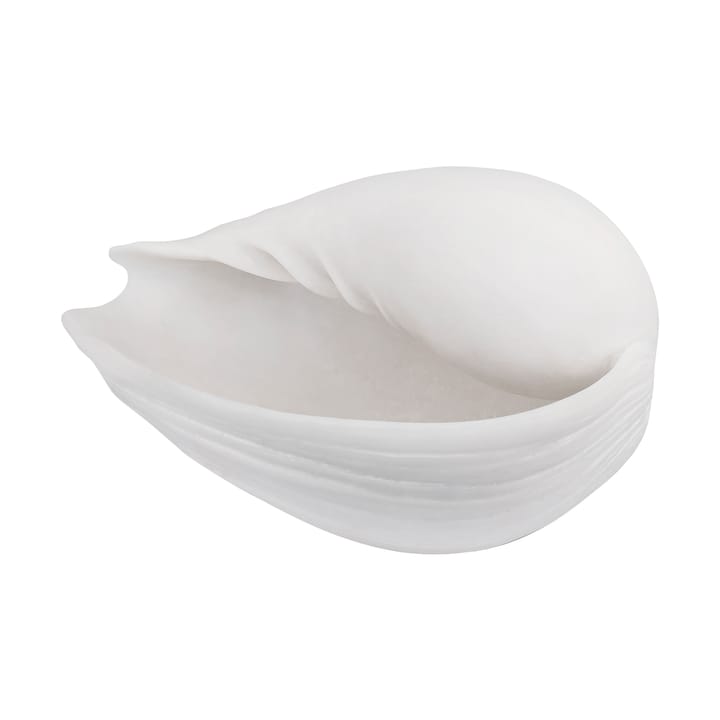 Conch decorative shell - Small - Mette Ditmer