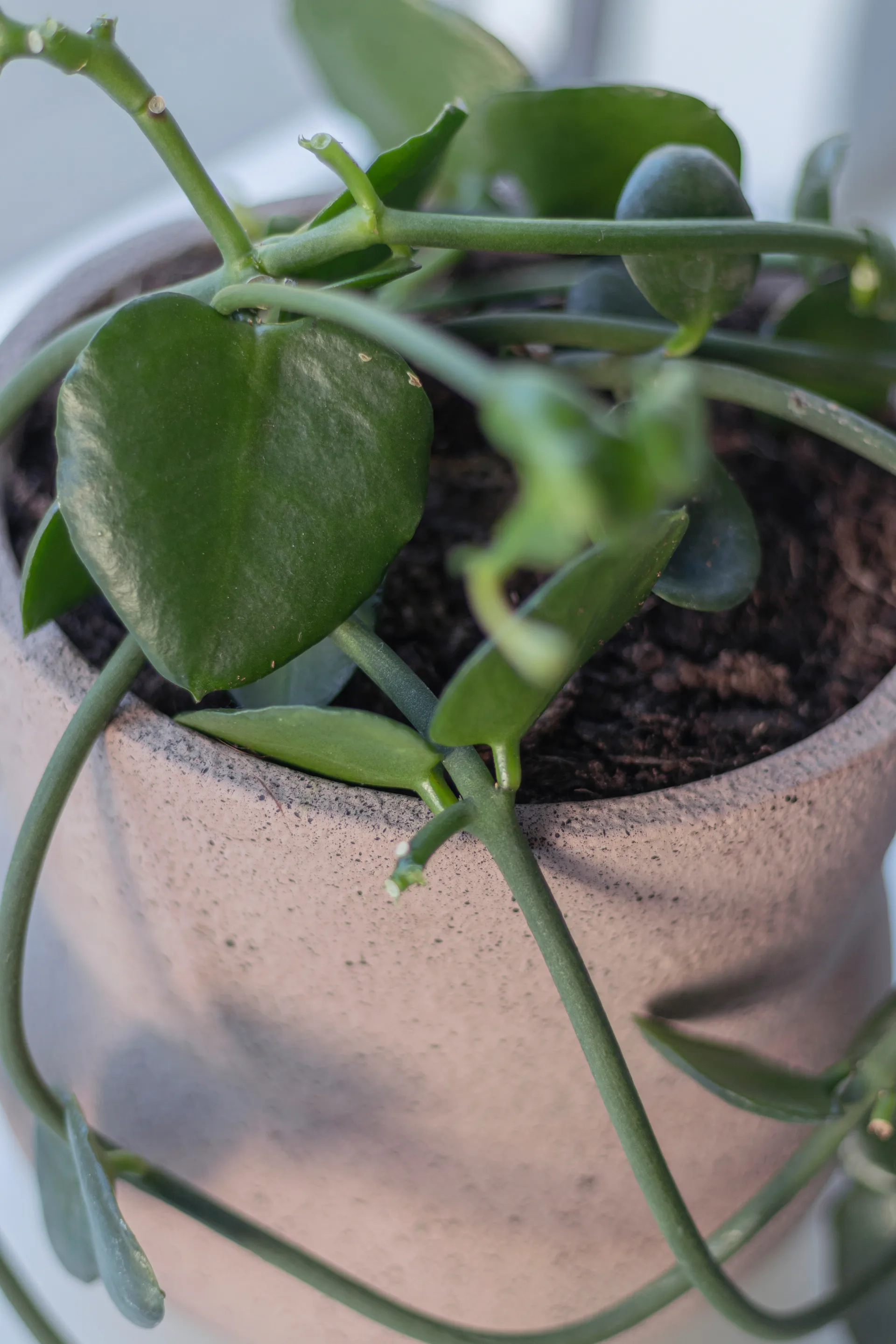 Stone flowerpot Ø17 cm, Blush Mette Ditmer