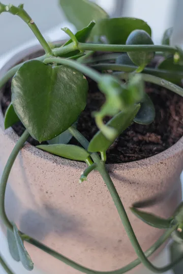 Stone flowerpot Ø17 cm - Blush - Mette Ditmer
