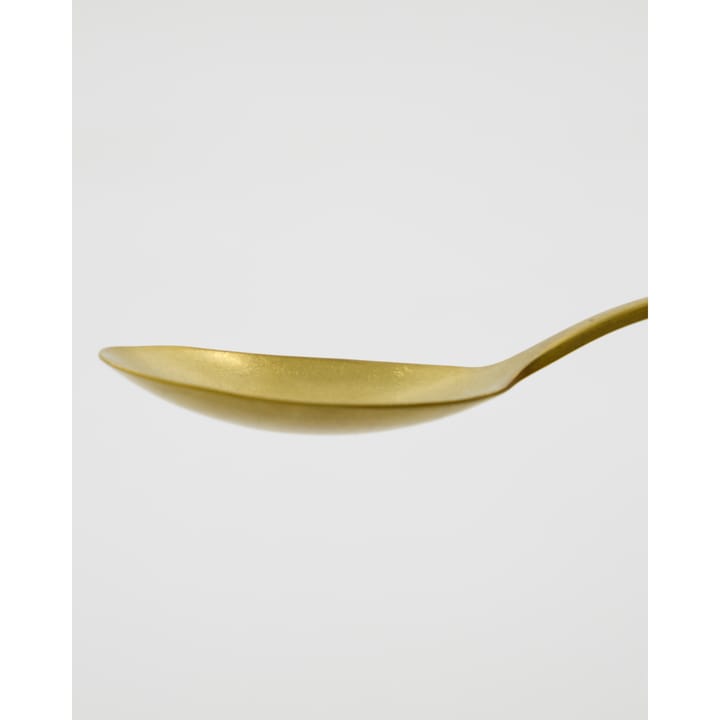 Daily serving spoons 2-pack, Gold finish Nicolas Vahé