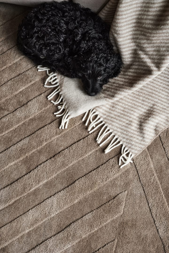 Levels wool rug stripes mole, 170x240 cm NJRD
