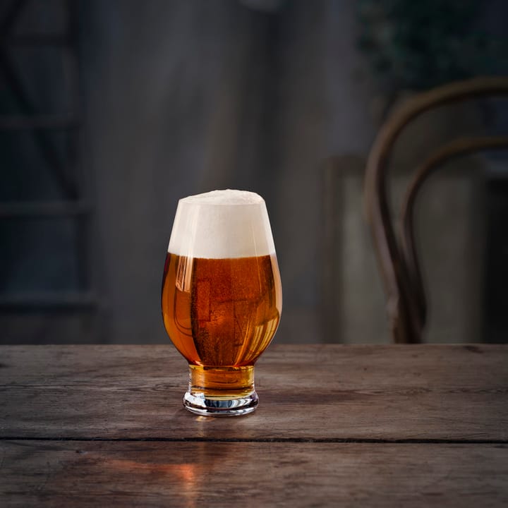 Beer IPA beer glass 4-pack, 47 cl Orrefors