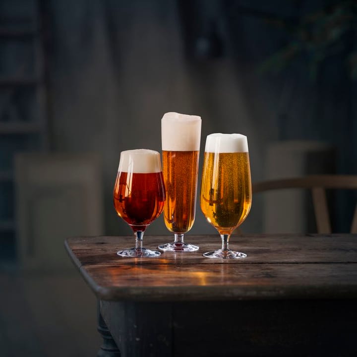 Beer taster beer glass 4-pack, 4-pack Orrefors