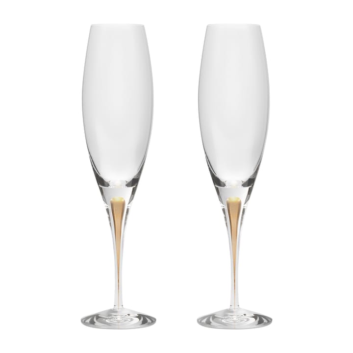 Intermezzo champagne glass 26 cl 2-pack, Gold Orrefors