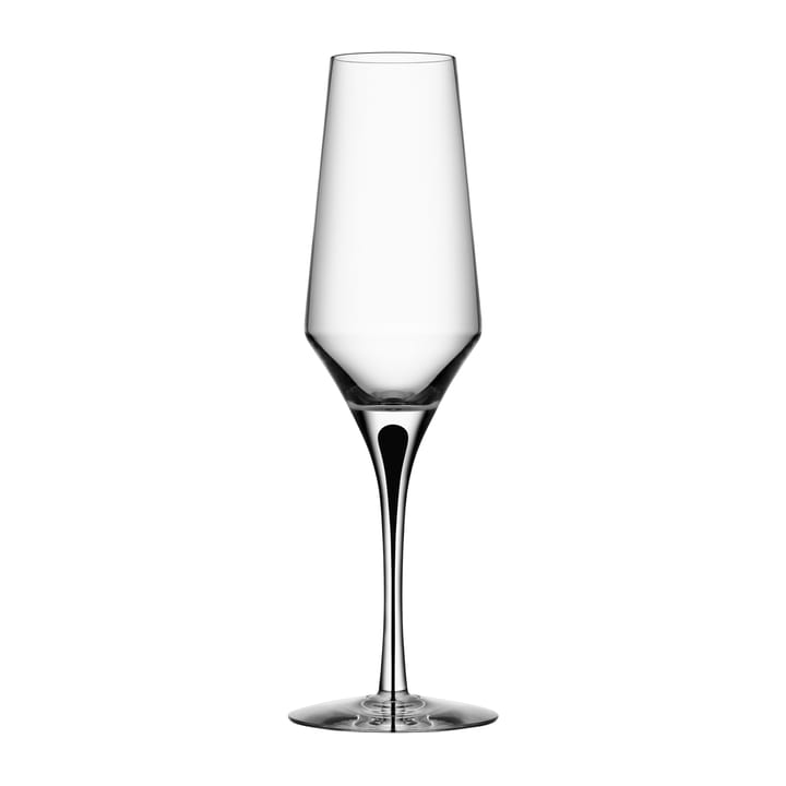 Metropol champagne glass 27 cl, Clear / Black Orrefors