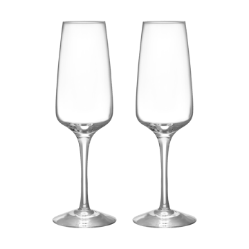 Pulse champagne glass 28 cl 2-pack - Clear - Orrefors