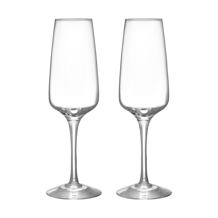 Pulse champagne glass 28 cl 2-pack, Clear Orrefors