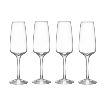 Pulse champagne glass 28 cl 4-pack - Clear - Orrefors