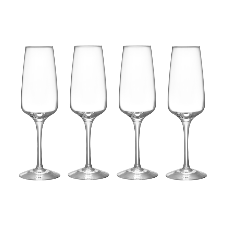 Pulse champagne glass 28 cl 4-pack, Clear Orrefors