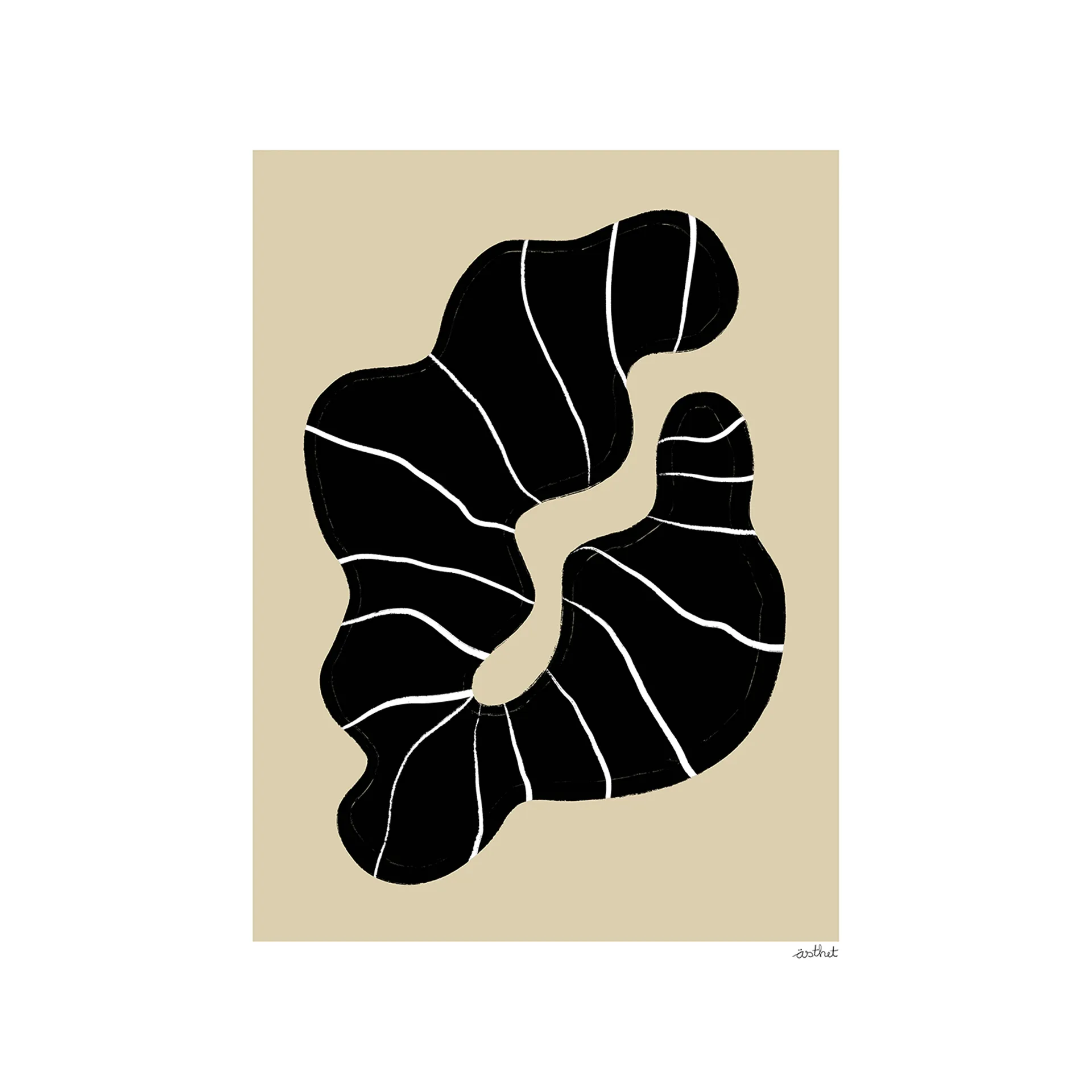 Beach Find poster, 50x70 cm Paper Collective