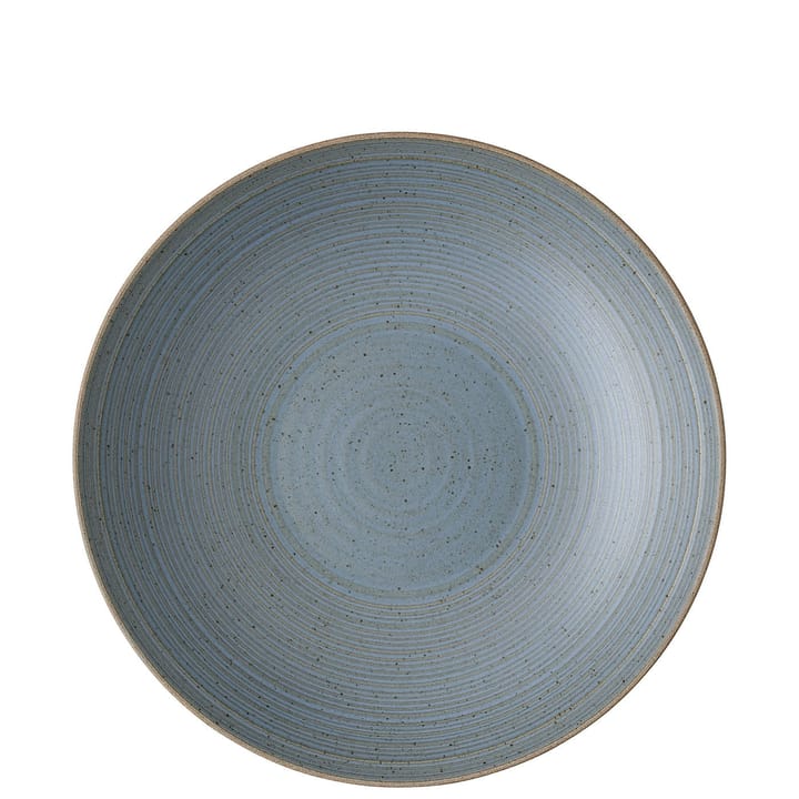 Thomas deep plate 28 cm, Nature water Rosenthal