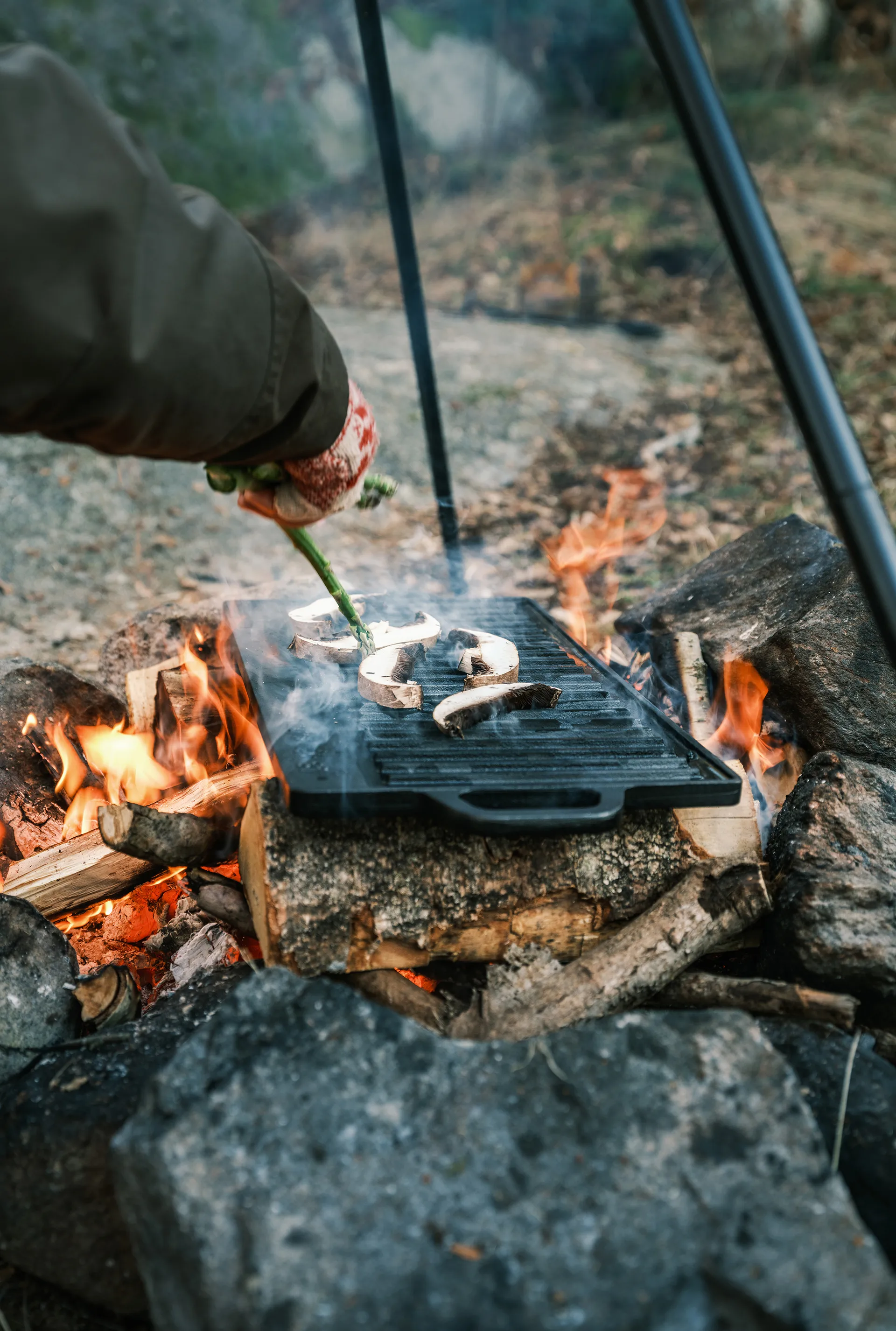 Satake frying table for grill, 23x42 cm Satake