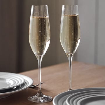 Karlevi champagne glass 4-pack - 21 cl - Scandi Living