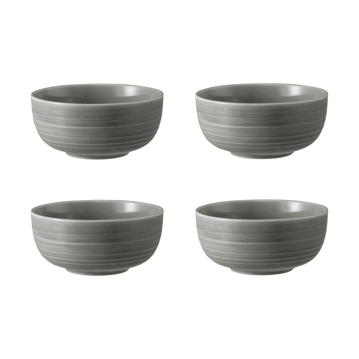 Terra bowl Ø15 cm 4-pack, Pearl Grey Seltmann Weiden