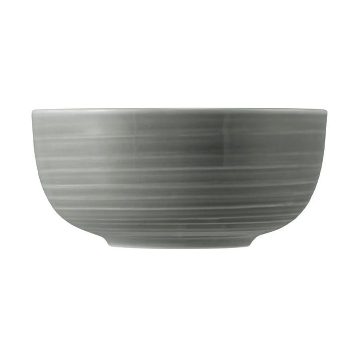 Terra bowl Ø15 cm 4-pack, Pearl Grey Seltmann Weiden
