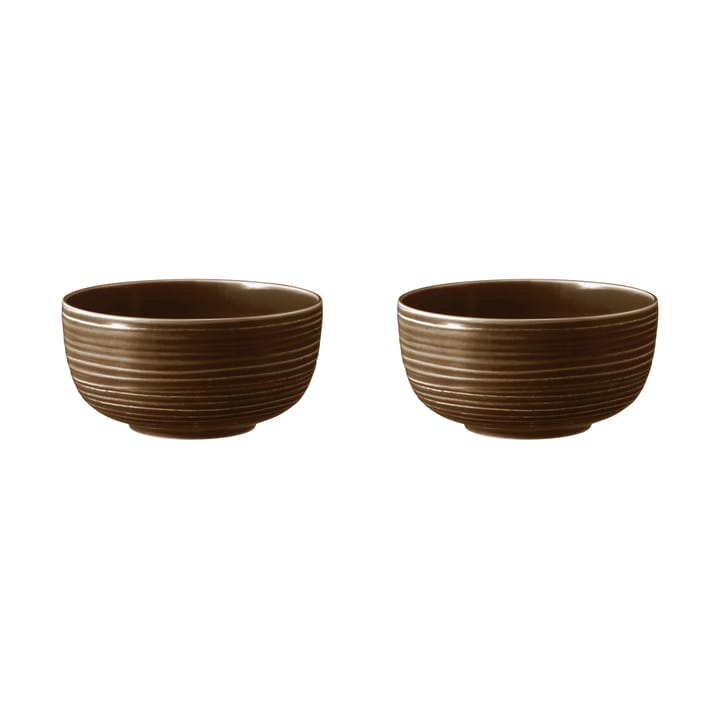 Terra bowl Ø17.7 cm 2-pack, Earth Brown Seltmann Weiden