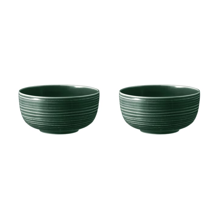 Terra bowl Ø17.7 cm 2-pack, Moss Green Seltmann Weiden