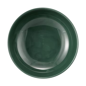 Terra bowl Ø17.7 cm 2-pack - Moss Green - Seltmann Weiden