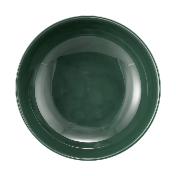 Terra bowl Ø17.7 cm 2-pack, Moss Green Seltmann Weiden