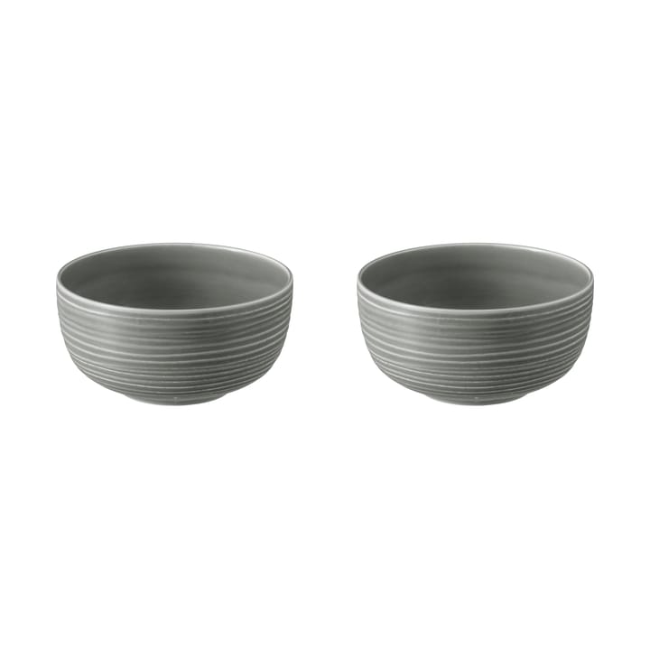 Terra bowl Ø17.7 cm 2-pack, Pearl Grey Seltmann Weiden