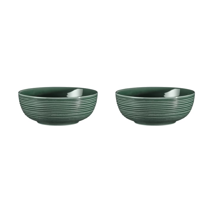 Terra bowl Ø20.4 cm 2-pack, Moss Green Seltmann Weiden