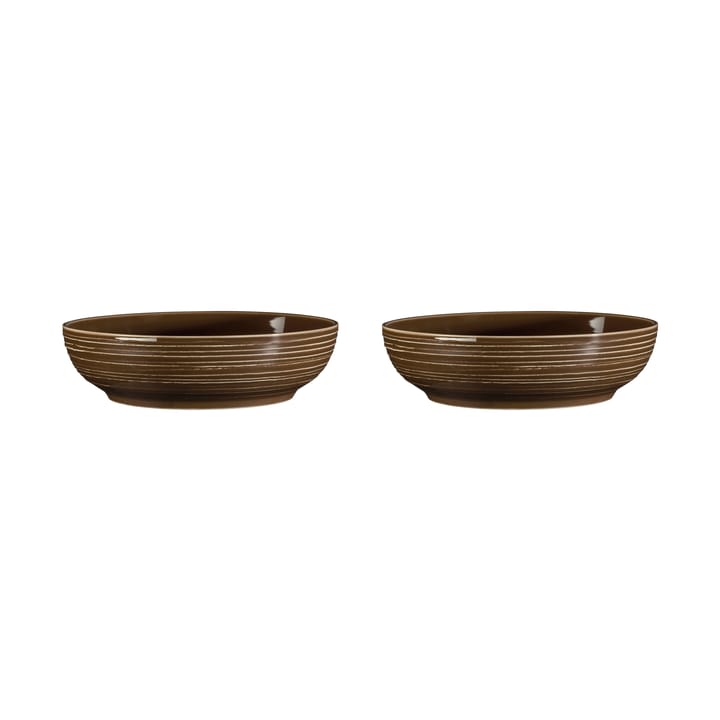 Terra bowl Ø25.5 cm 2-pack, Earth Brown Seltmann Weiden