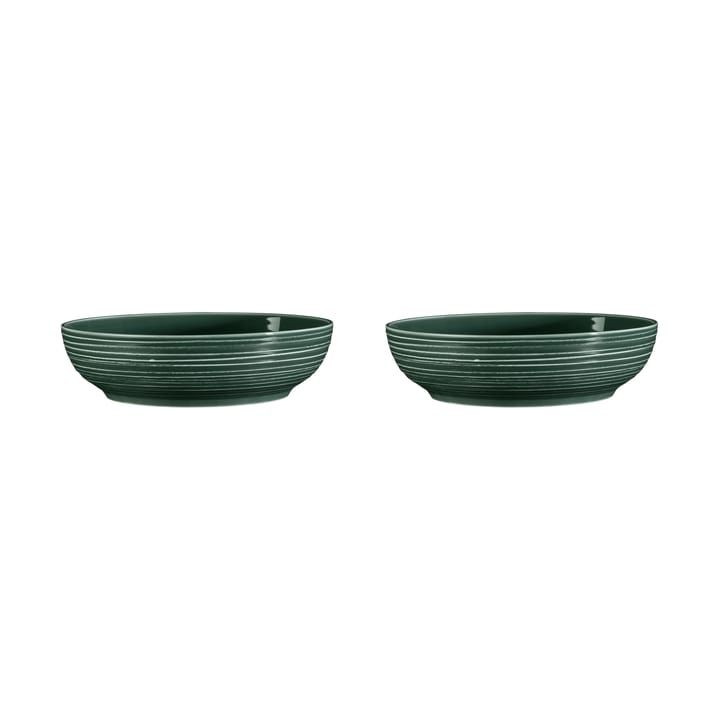 Terra bowl Ø25.5 cm 2-pack, Moss Green Seltmann Weiden