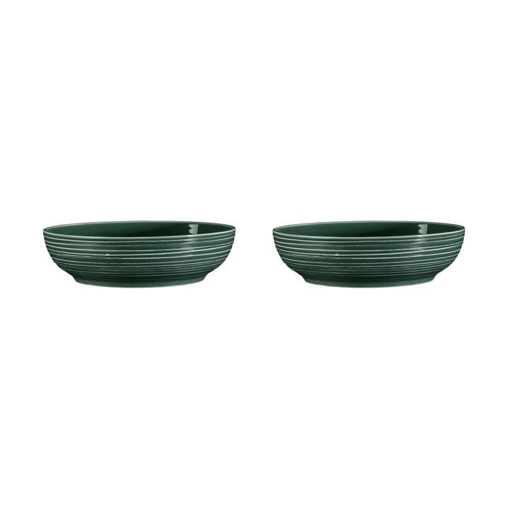 Terra bowl Ø25.5 cm 2-pack - Moss Green - Seltmann Weiden