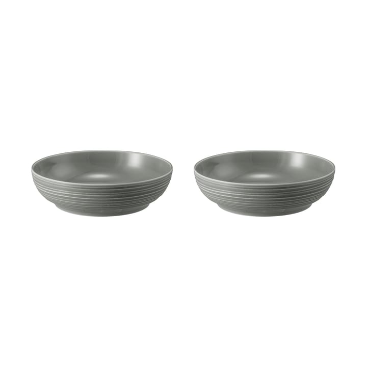 Terra bowl Ø25.5 cm 2-pack, Pearl Grey Seltmann Weiden