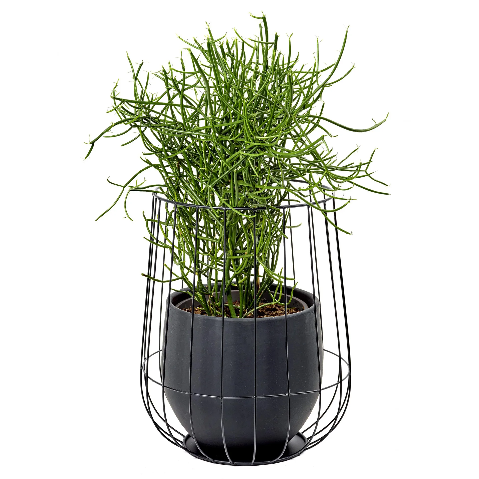 Serax flower pot in basket Ø37 cmh46 cm, black Serax