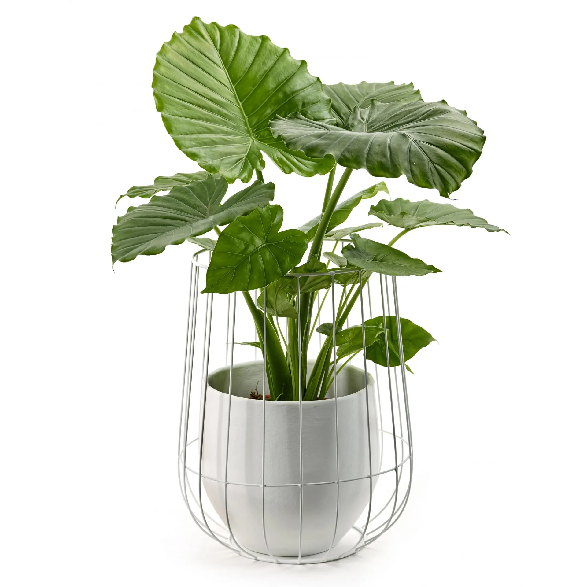 Serax flower pot in basket Ø37 cmh46 cm, white Serax