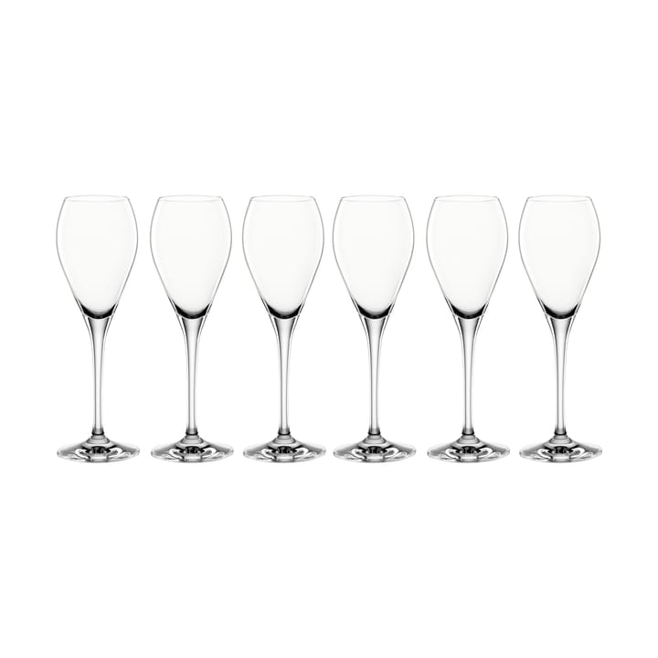 Party champagne glass 16 cl - 6-pack - Spiegelau