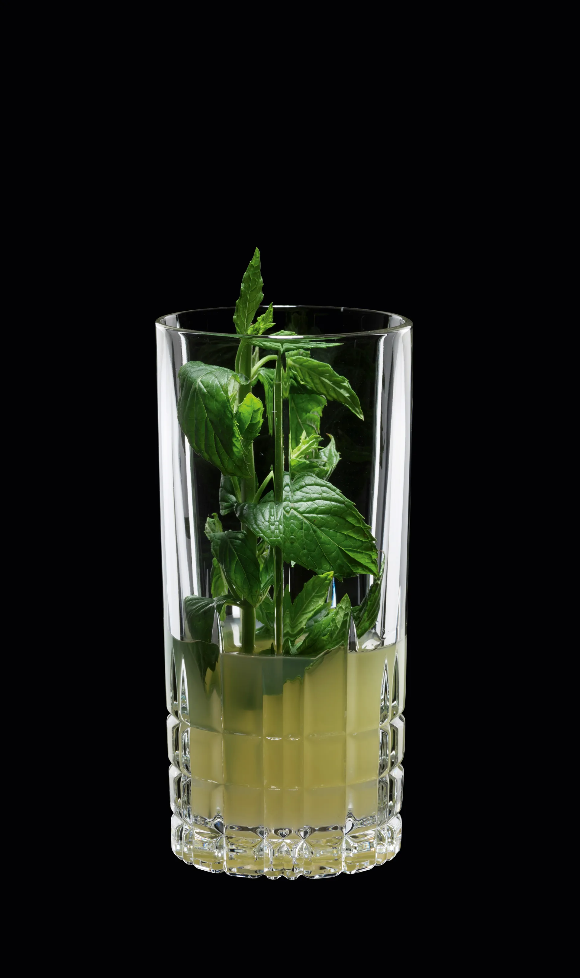 Perfect Serve Long drink glass 35cl . 4-pack, clear Spiegelau