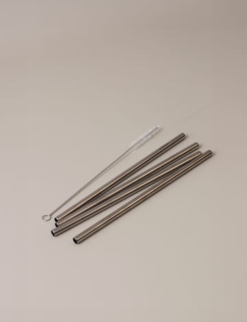 Stelton reusable straws 4-pack - Steel - Stelton