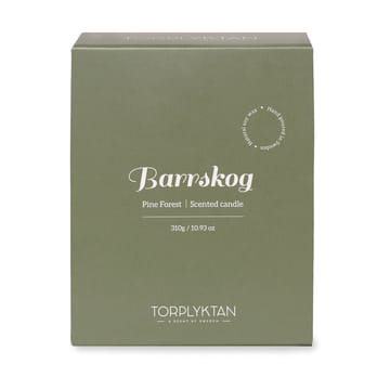 Northern woods scented candle 310 g - Pine Forest - Torplyktan