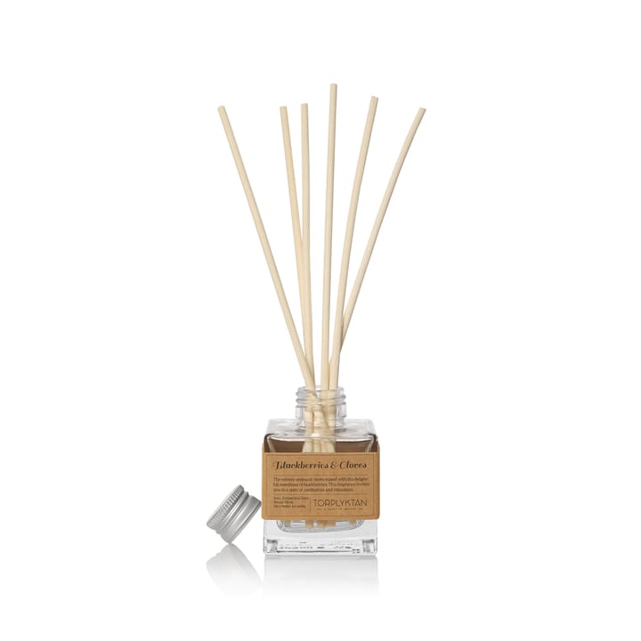 Spice pantry fragrance diffuser, Blackberries & cloves Torplyktan