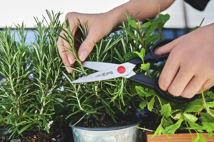 Zwilling Twin L universal scissors, 20 cm Zwilling